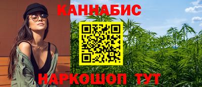 мет Камышлов