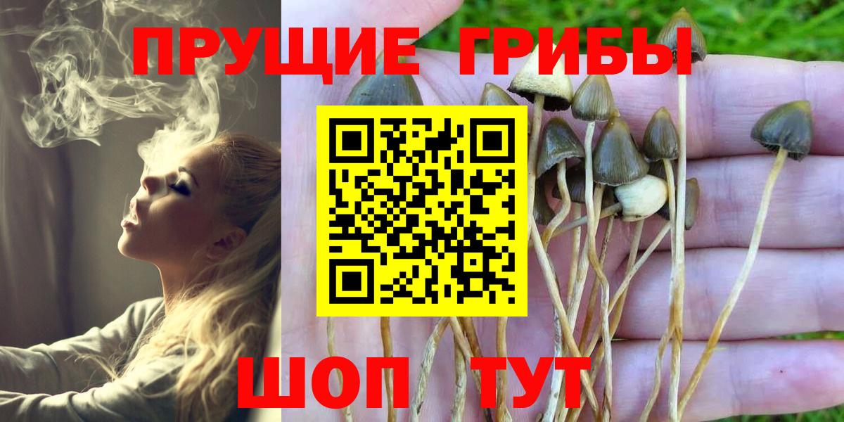 Галлюциногенные грибы Cubensis  Вход с VPN  Кохма 